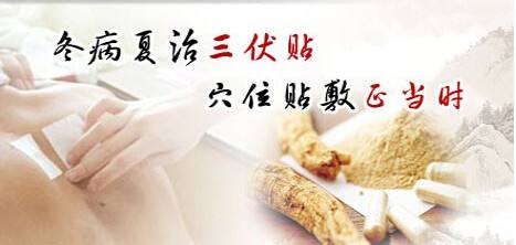 2017�������������N